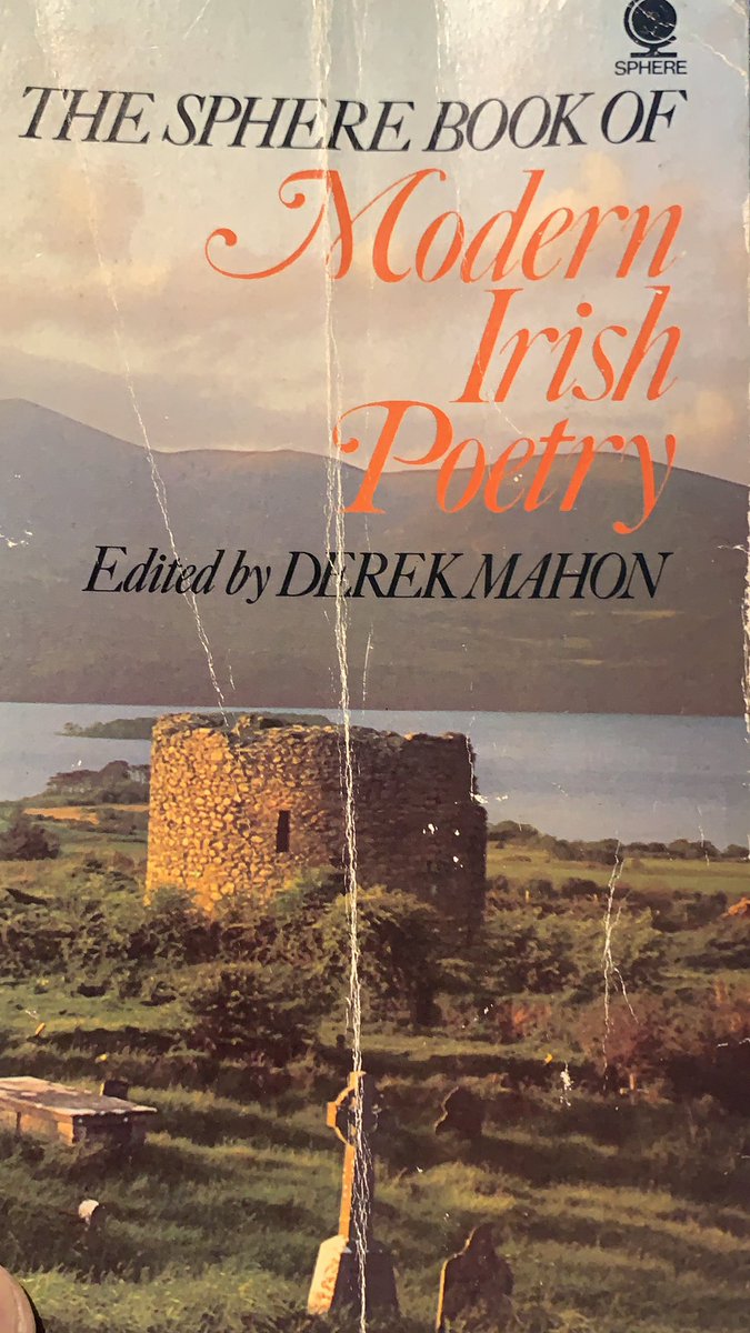 Daniel Mulhall tweet media