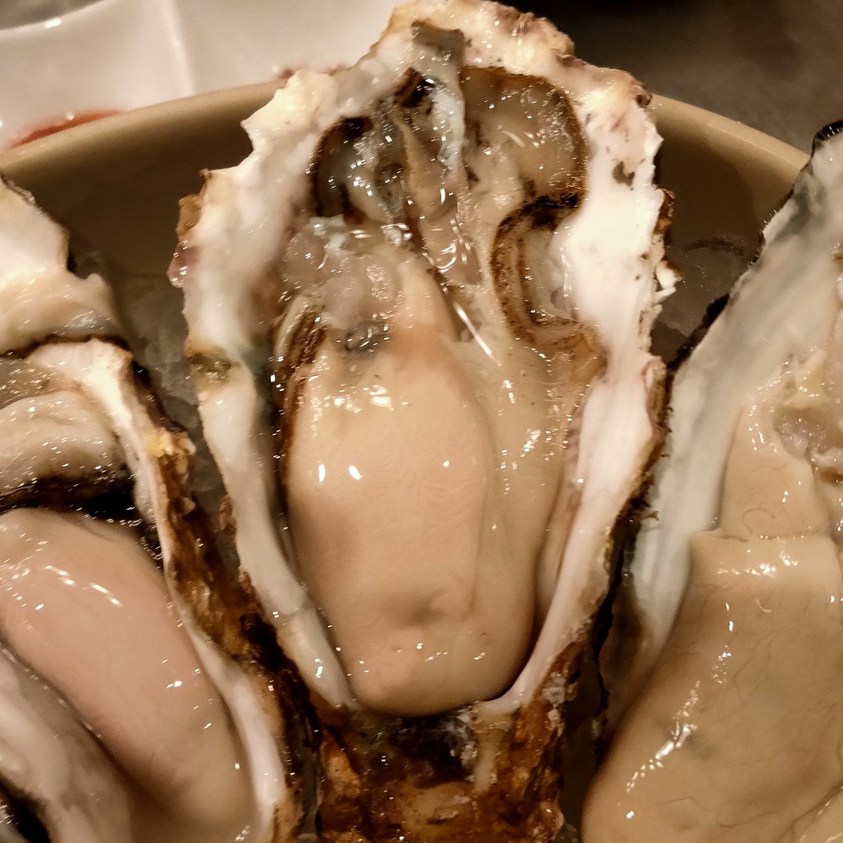 bridge_oyster's tweet photo. 原価牡蠣酒場になって一週間、多くの方にご来店いただき嬉しい限りです！こちらの力不足で至らない点も多々ありますが、改善を重ね、皆様にご満足いただけるようスタッフ一同力を尽くします！
牡蠣達も頑張るって言ってます！牡蠣達の声、聴きに来てください！！ https://t.co/56rmSVpNzG