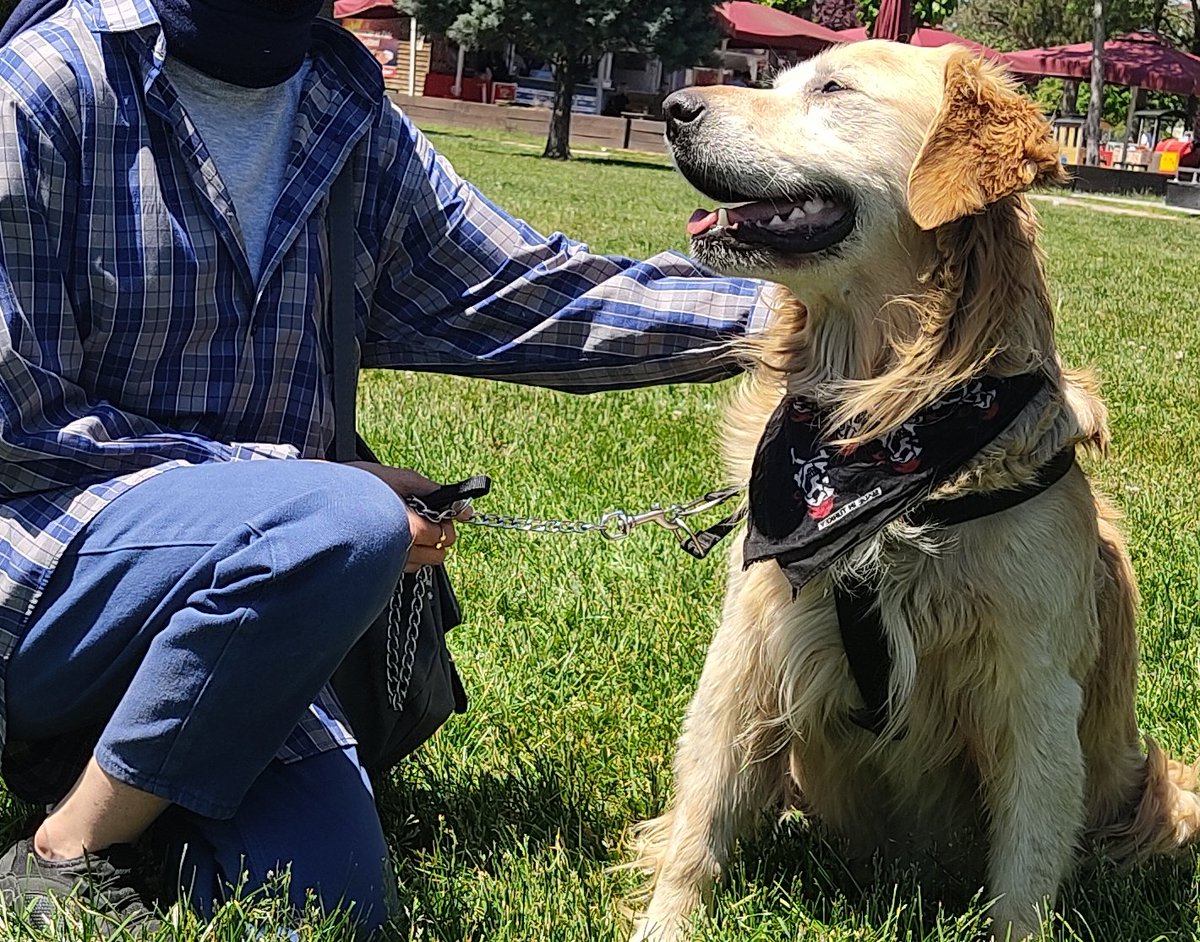 Sevilmeyi insanlardan çok hayvanlar hak ediyoor
