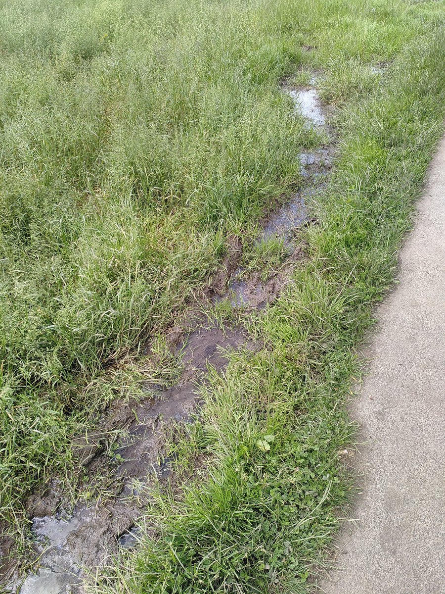 ktkinnear.bsky.social tweet media