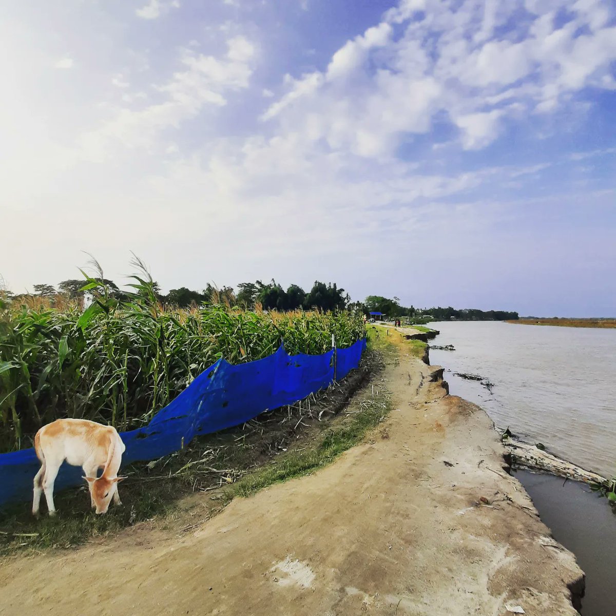 deka2350's tweet photo. বানপানী গৰাখহনীয়া #Floods #flood2022 #flooddamage #Riverside #rivervalley #AssamFloods2022 #AssamFloods https://t.co/KwQItHlqdA