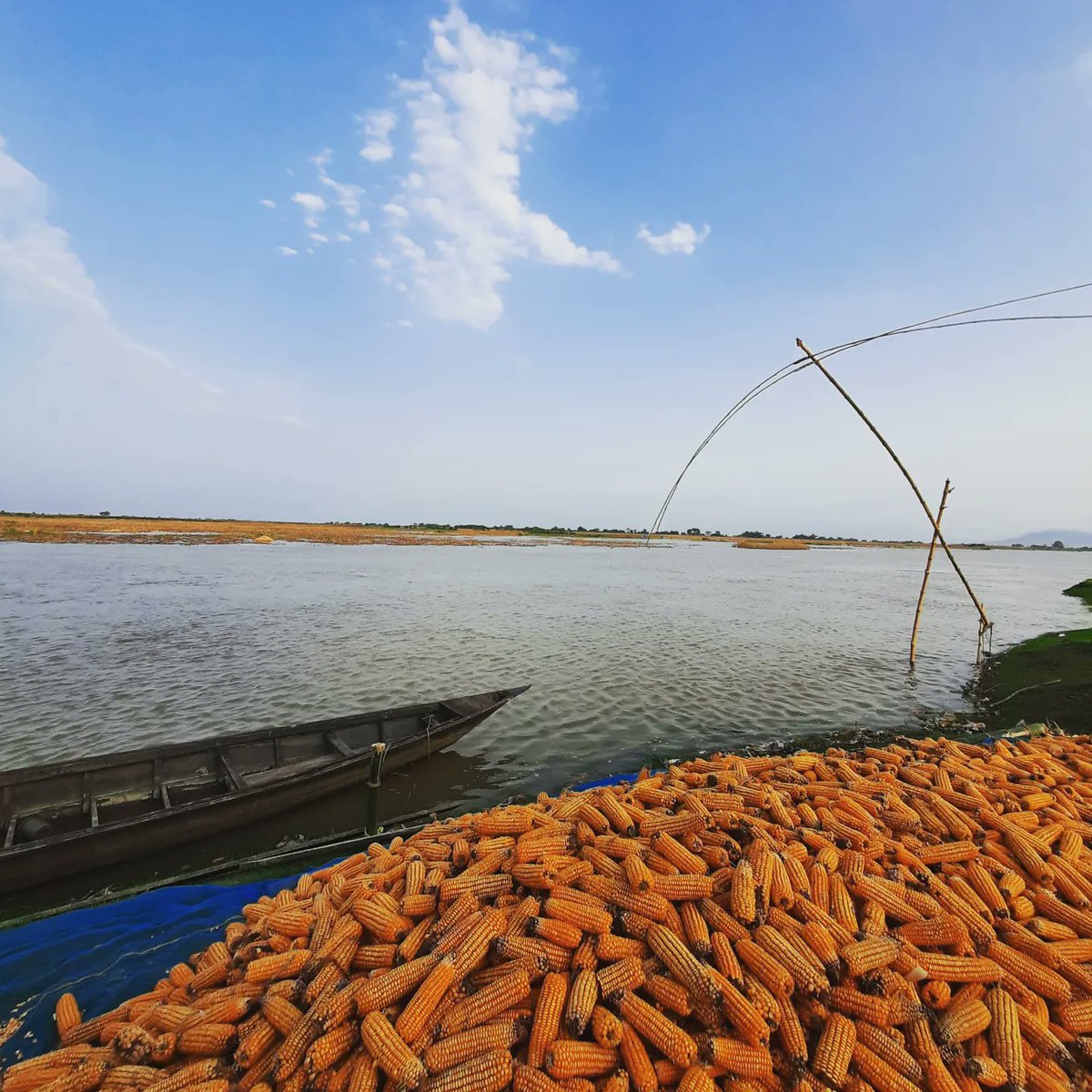 deka2350's tweet photo. বানপানী গৰাখহনীয়া #Floods #flood2022 #flooddamage #Riverside #rivervalley #AssamFloods2022 #AssamFloods https://t.co/KwQItHlqdA