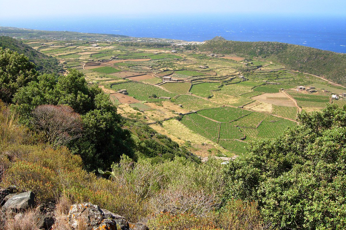 PANTELLERIA, island of volcanic origin is called the black pearl of #Mediterranean. Its traditional cultivation of bush vines 🍇is protected by #UNESCO. Visit quality wineries🍷, swim in sea and hot springs, enjoy its natural spa lake. Rent traditional houses the “Dammusi”#Italy