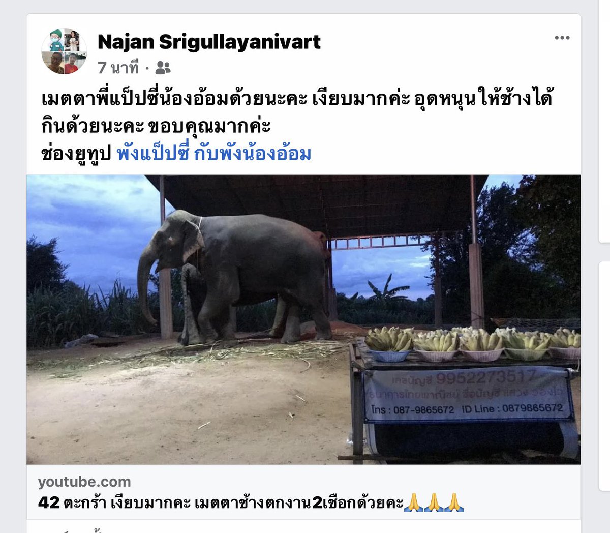 KaaPartar's tweet photo. ฝากอุดหนุนด้วยนะคะ เงียบ เหลือเยอะมากค่ะเมื่อคืนเหลือ 30 ตะกร้าค่ะ เลข บช 99522 73517 ไทยพานิชย์ แสวง ว่องไว ขอบพระคุณมากค่ะ @Aom_pepsi 
แท็กรบกวนต้องขอโทษด้วยนะคะ 
#วิกฤติช้างไทย #วิกฤตช้างไทย #ช้างตกงาน #เป๊กผลิตโชค https://t.co/BNuZTAyW0o