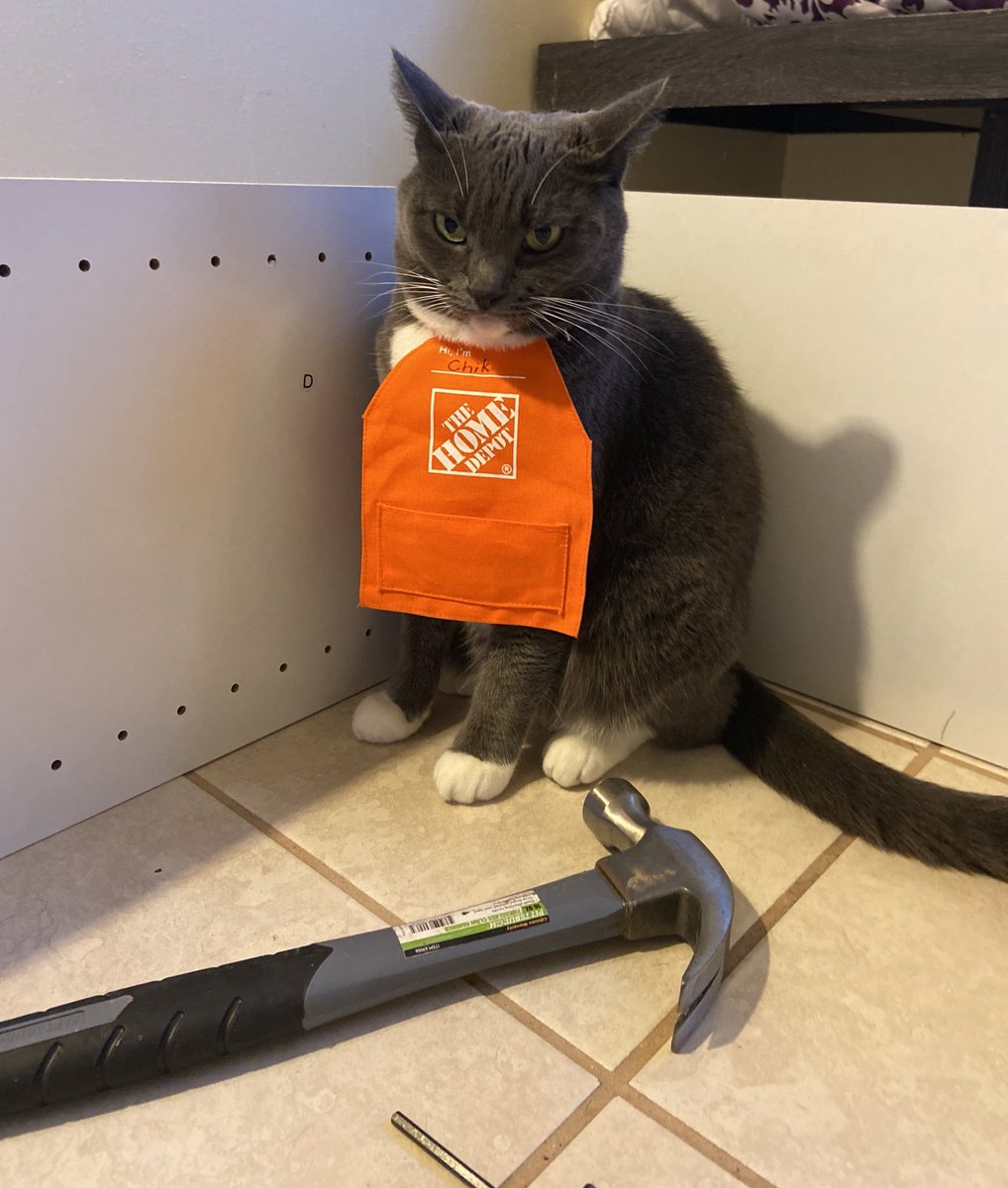 CatWorkers's tweet photo. https://t.co/0Ud1fyVMhq