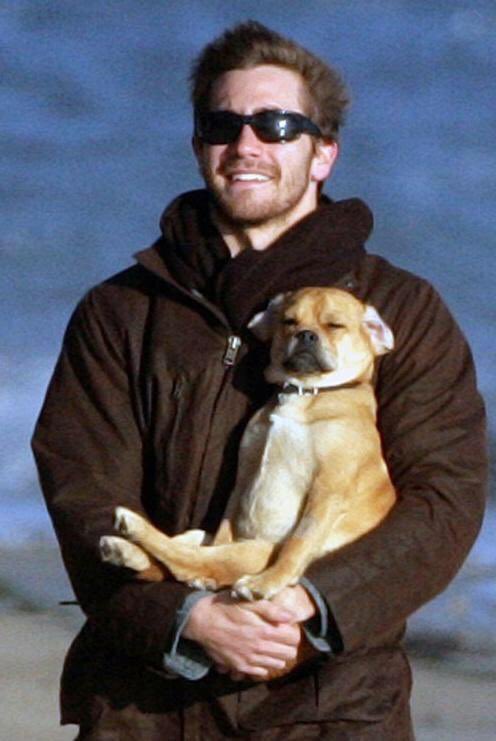dogeofficialceo's tweet photo. Holding my #doge like https://t.co/aX4QgNJ4Bt