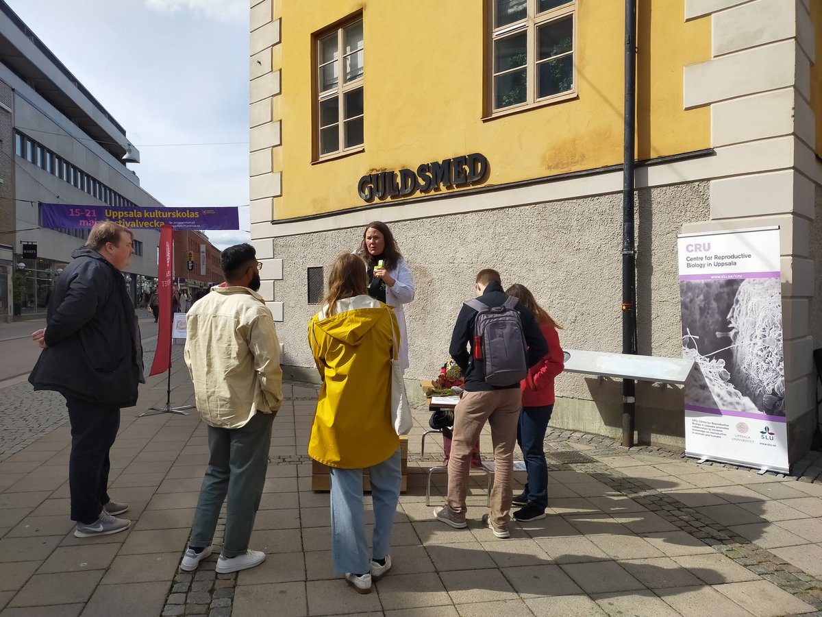 UppsalaSoapbox's tweet photo. And here we are! Last round of @SoapboxScience  speakers!! Come to Celsiustorget and grab some ☕ while you listen to these great scientists! https://t.co/wmqQMNUlDm