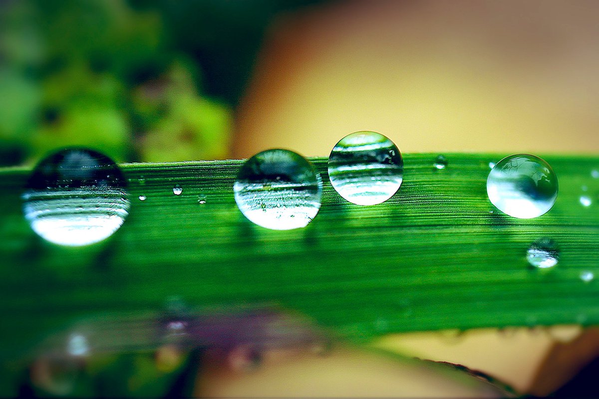 nariphot15's tweet photo. #ファインダー越しの私の世界

水滴 https://t.co/z5Vblwvhru