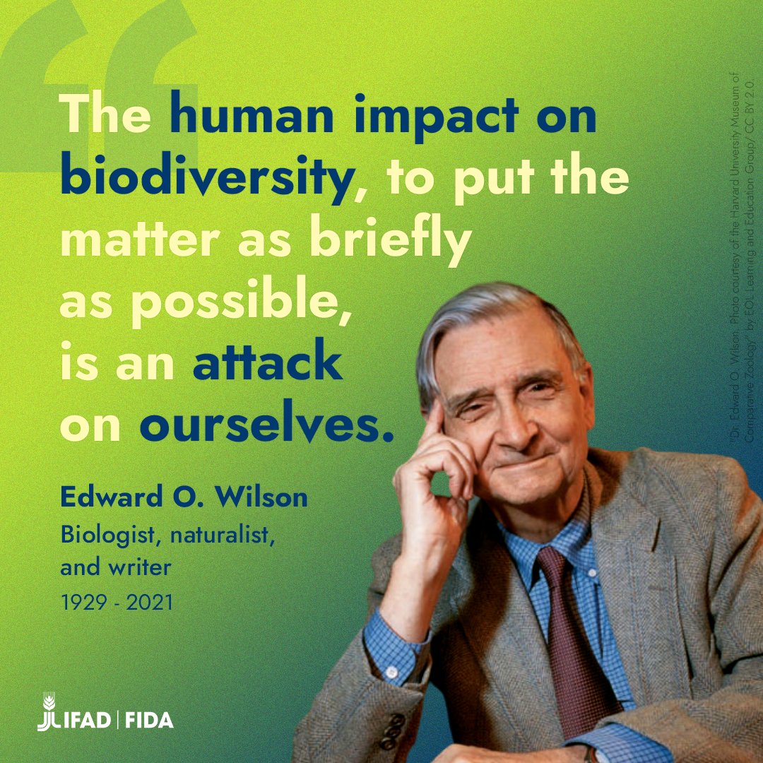 International Fund for Agricultural Development tweet media