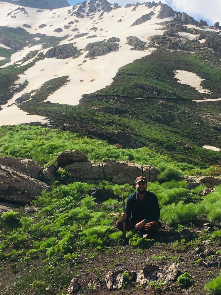 ozdmragt's tweet photo. #Yayla#ewreke https://t.co/OXqvUMC0wU