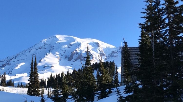WANatlParkFund's tweet photo. Happy to report that the mountain was out this morning!
#OurBackyardRocks #ForTheParks #RainierWatch https://t.co/Krm4MzS3dj