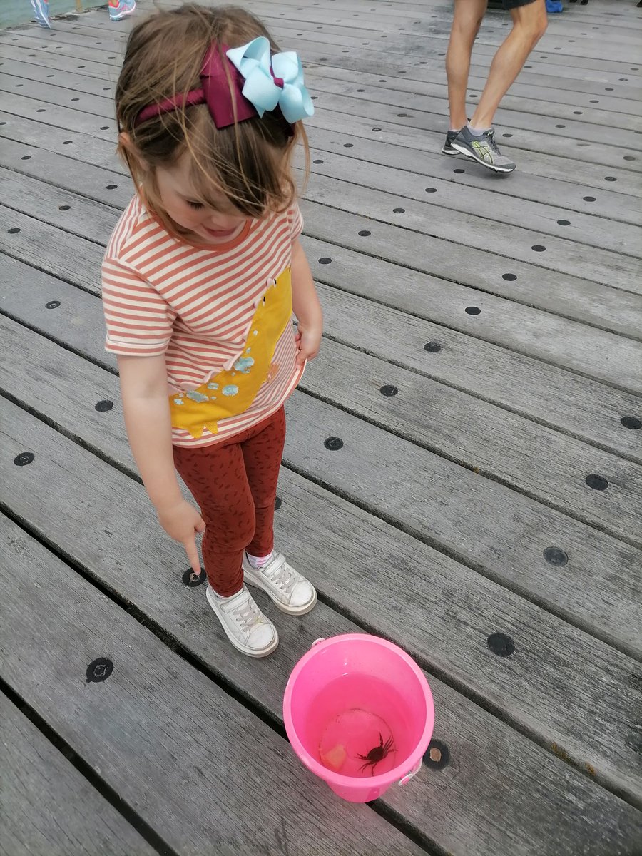 KateHazelwood4's tweet photo. Fresh sea air, spot of crabbing and a couple of wines in the sunshine... How weekends should be ❤️@timhazelwood2 #caravanfun #familyof5 #Wellbeing https://t.co/mzbJEugPAr