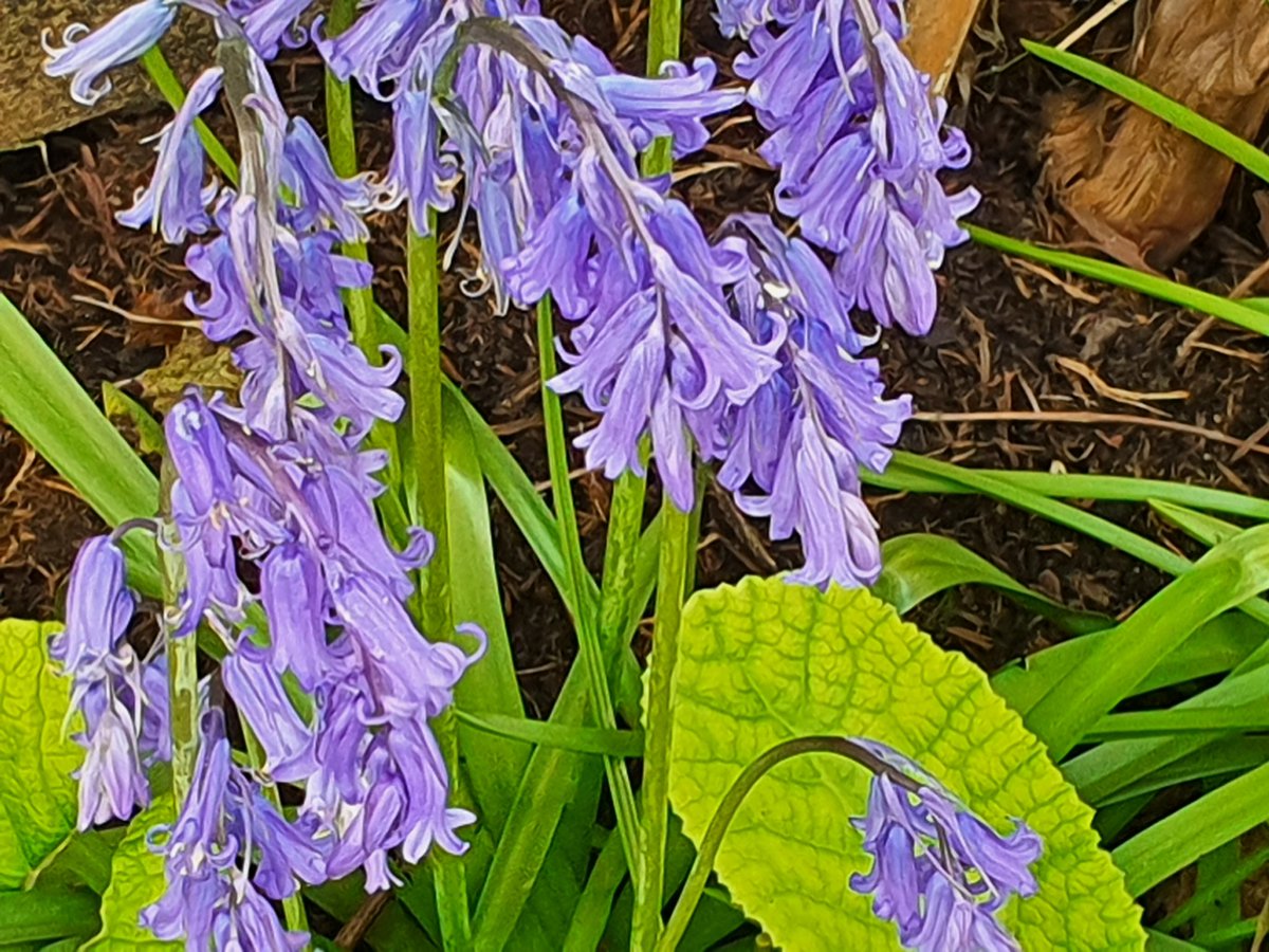 Andrew Haglington tweet media