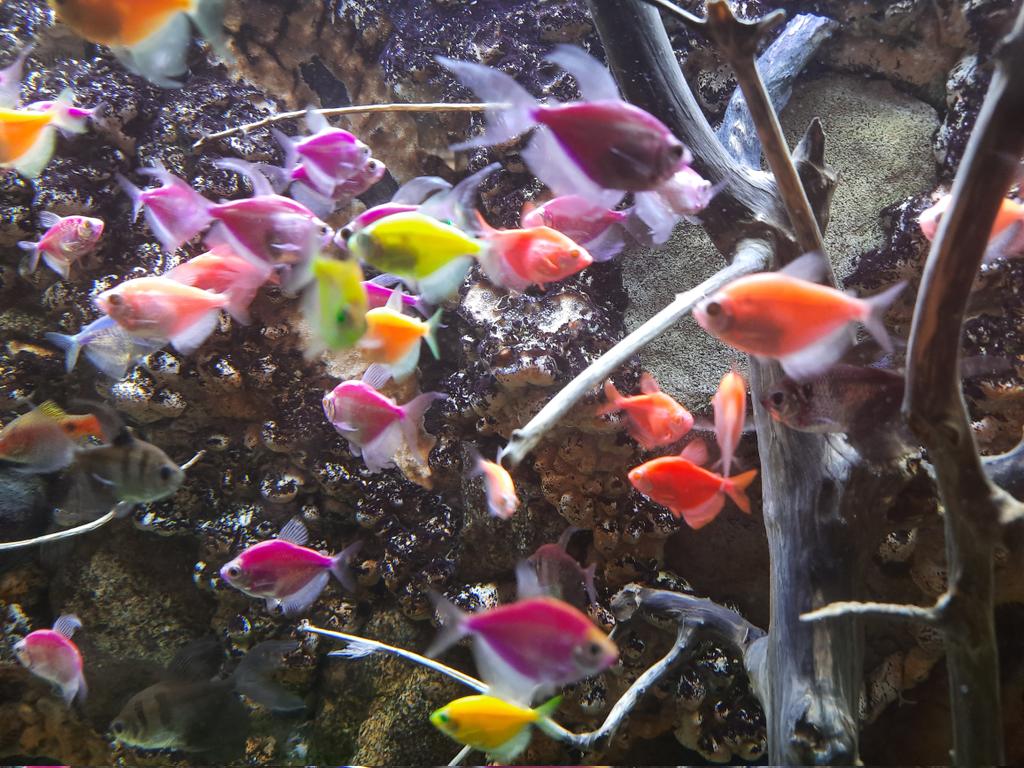 HEYAAA to my NFT family from these bright beuties💜🥰 
Let your day be as bright🤩