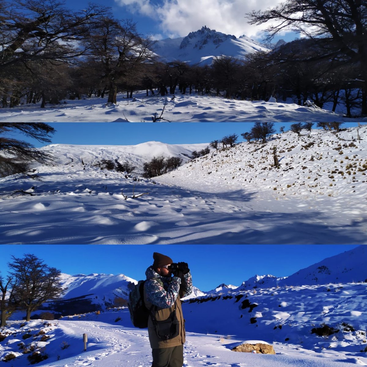 El_Rompehielos's tweet photo. #SantaCruz 🧭 En el corazón de la Patagonia, las localidades de #LosAntiguos y #LagoPosadas se unen gracias a los 170 kilómetros de la ruta 41, con sus vistas panorámicas de paisajes y ambientes únicos. Con recaudos, es posible disfrutarla todo el año https://t.co/7QsAJXJypT