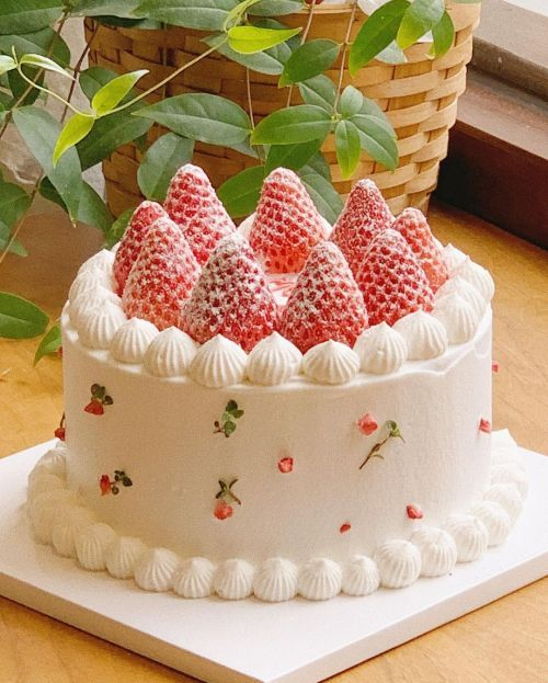 daily_dolce's tweet photo. It's strawberry season https://t.co/mY9qLEl3Wf