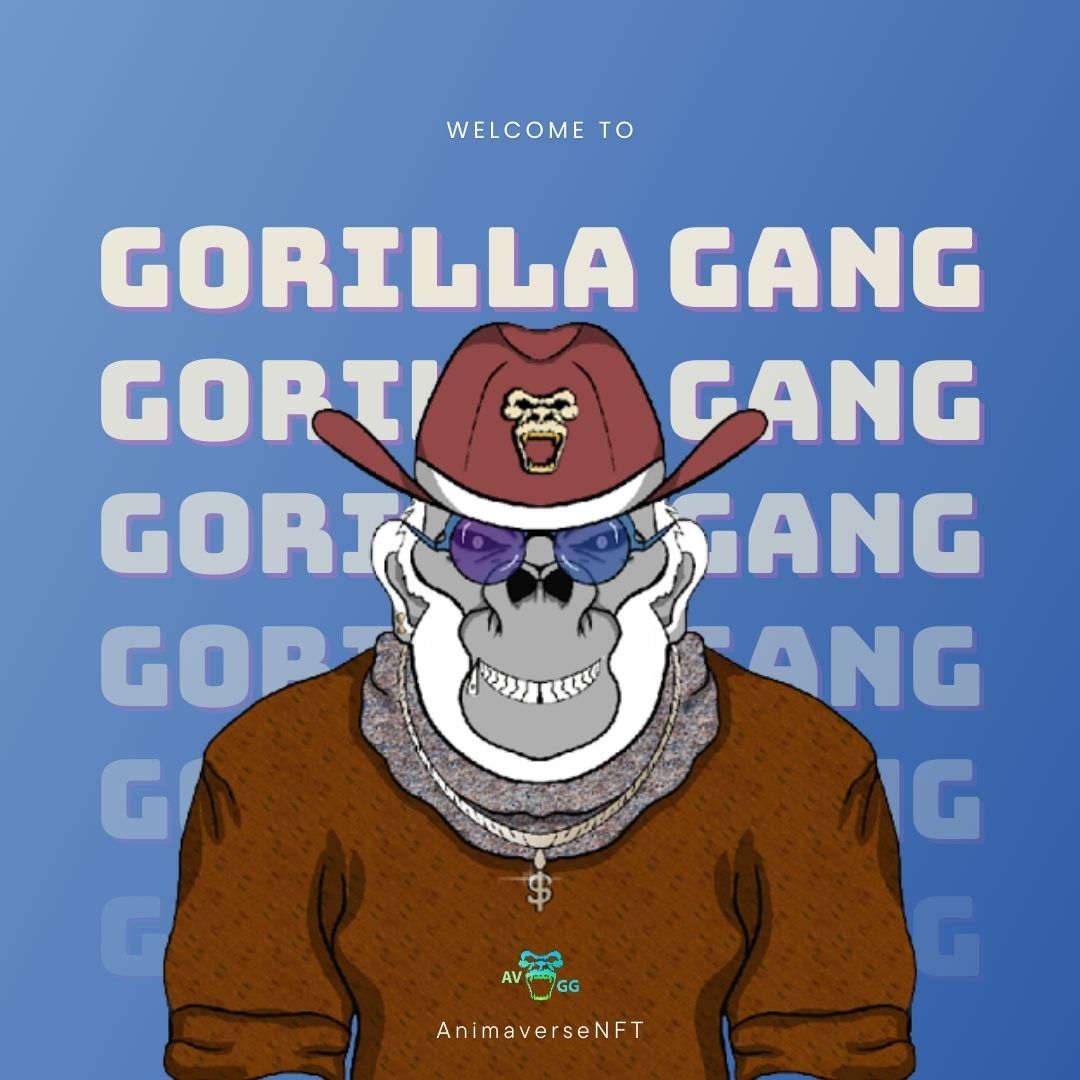Collecting digital art is the best hobby ever

#NFT #AnimaverseNFT #GorillaGang