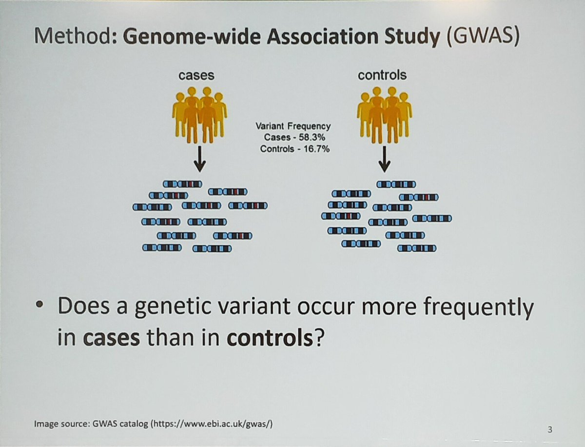 ERAkidney's tweet image. What are the genetic variants associated with kidney failure in a cohort of CKD patients?
#GENera22 #FCera22 #ERA22