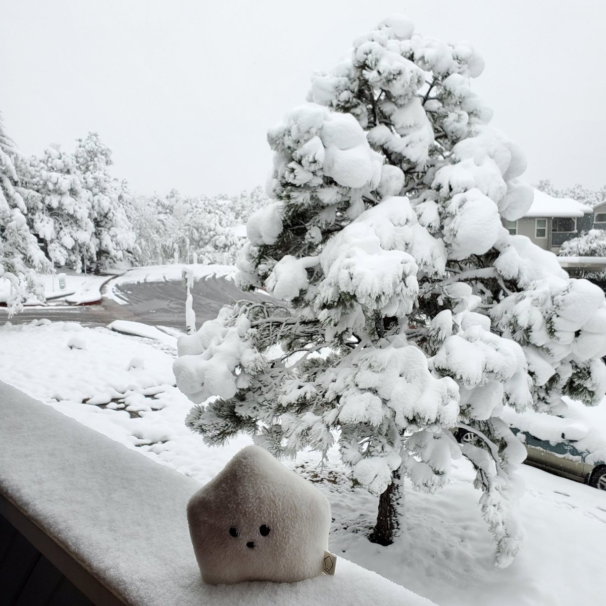 sucklet7's tweet photo. the world is probably ending, i think. (it is snowing on may 21.) but i made a snow star, so it will be okay.
#sucklet. #snowlet. https://t.co/Ho6dP60Qsq