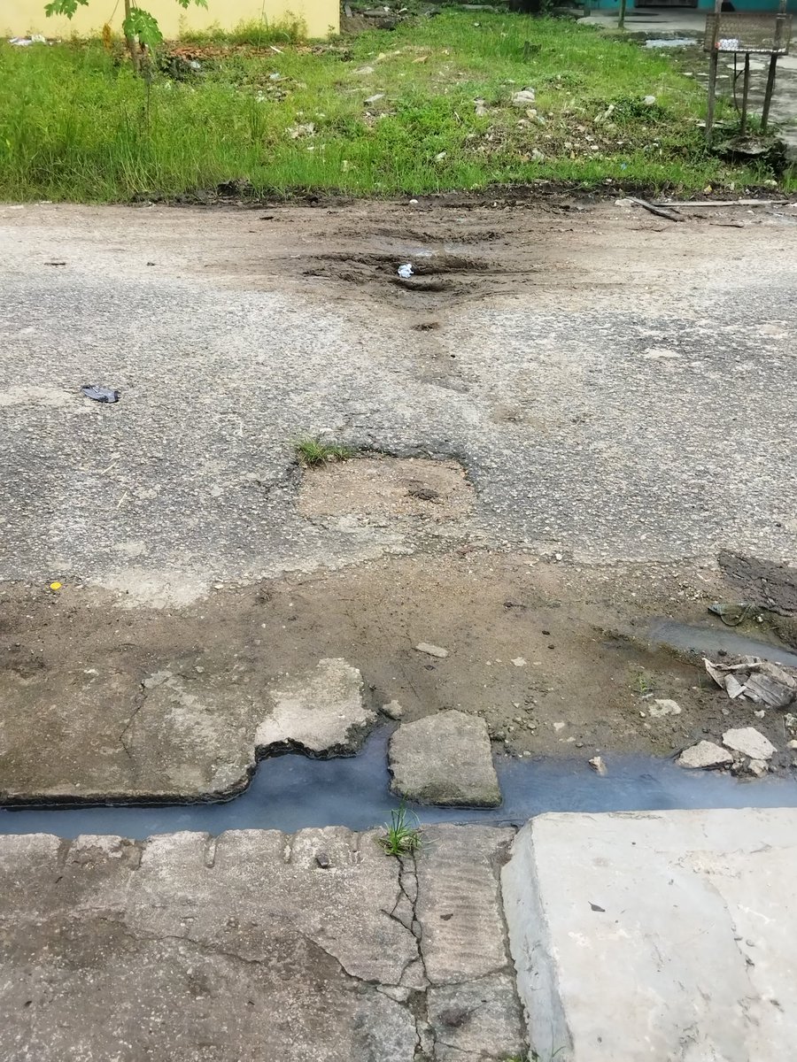MiguelBruno9's tweet photo. @prefeiturabelem Desde que o atual prefeito @EdmilsonPSOL assumiu a prefeitura de Belém o bairro do tenoné nunca recebeu ação de limpeza por parte da prefeitura. Houve obras no outro conjunto por parte do governo do estado @helderbarbalho https://t.co/iV53x7QZjk