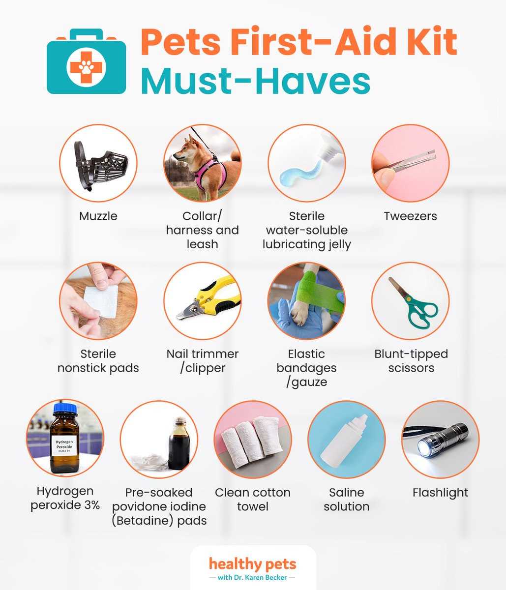 drkarenbecker's tweet photo. Having a pet first aid kit prepared and handy can help save your pet’s life. Here are several items you should have in the kit. 👇 #BePrepared #PetFirstAidKit #HealthyPets https://t.co/46a7OnCWSM