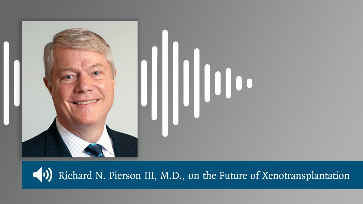 Richard Pierson III, M.D., discusses the implications of recent efforts to transplant pig organs into humans. nej.md/38qn60c