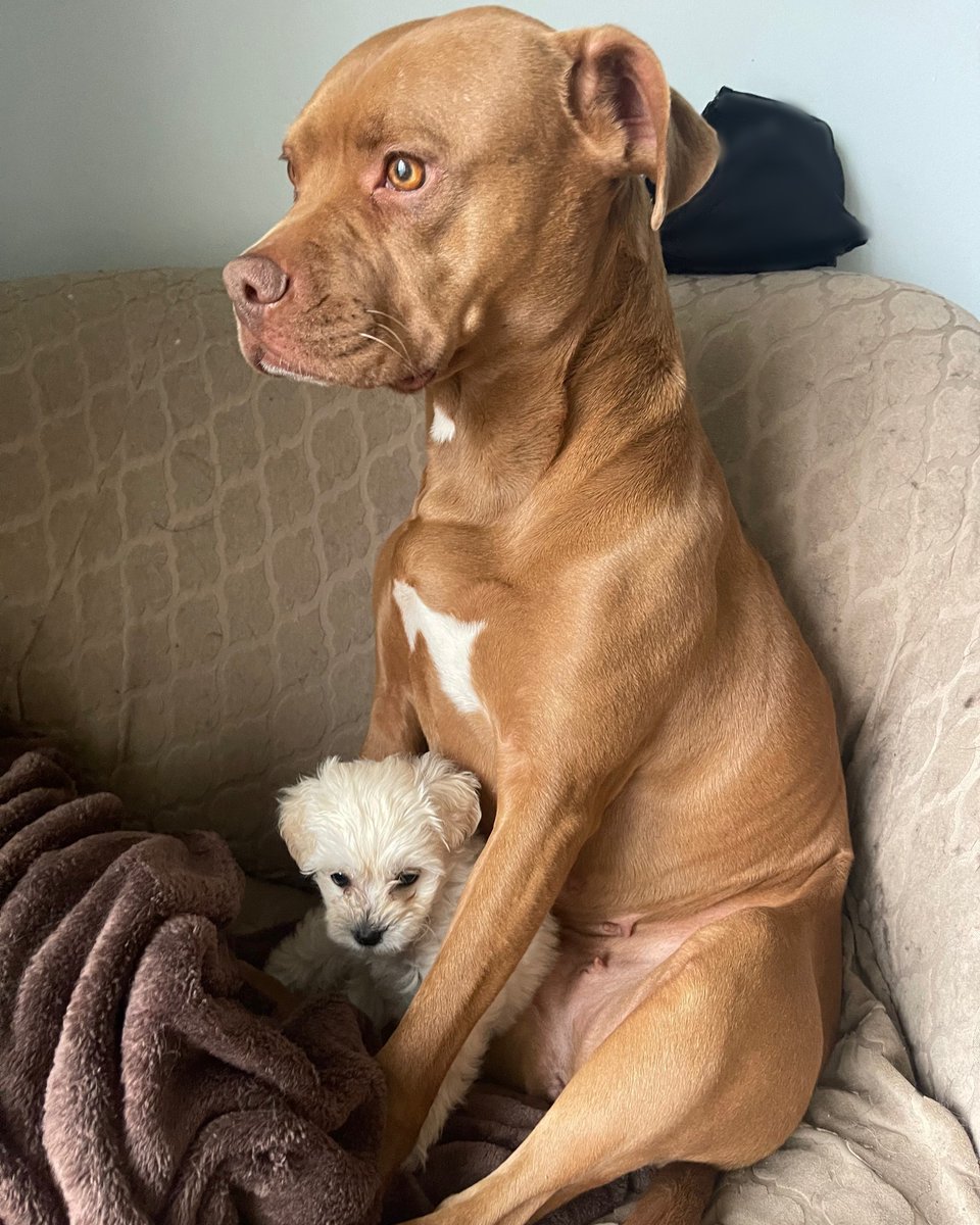 Saskatchewan Weekend tweet media