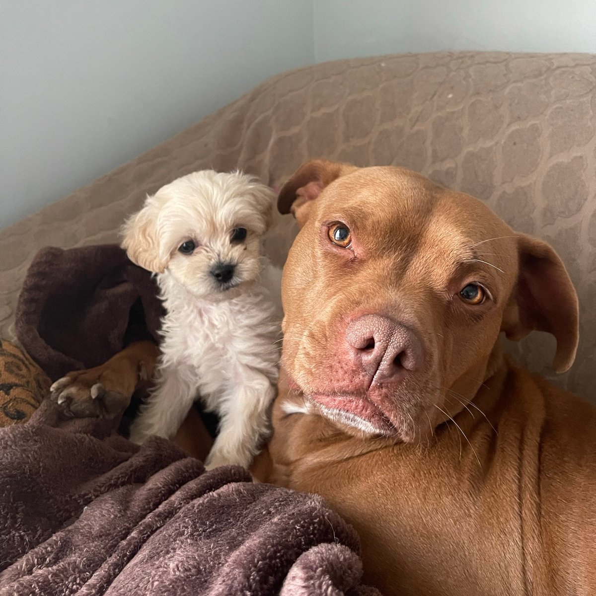 Saskatchewan Weekend tweet media