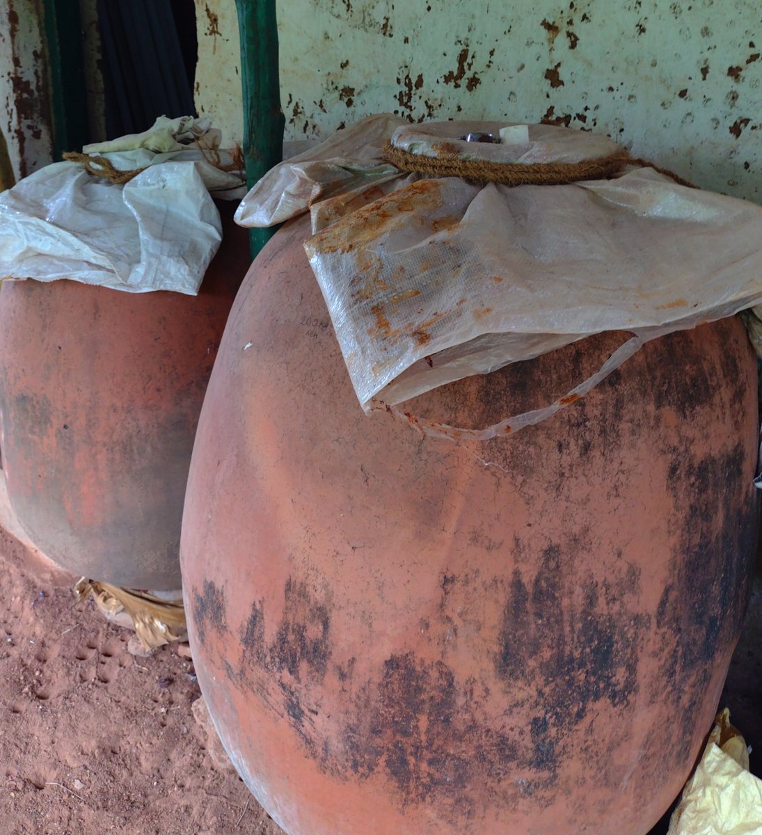 There's about 300kgs of deseeded tamarind at the farm. Completely organic, really tangy and good stuff. 250/- a kg. (200/- if you come over for a day trip/weekend stay and take some). Beka?