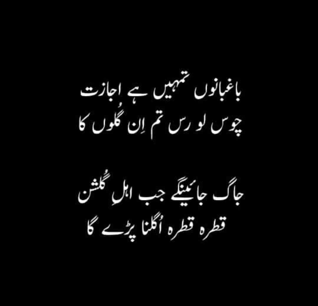 sadiq_saika's tweet photo. شہیدوں کی یادیں بسي ہے دلوں میں 
وافائے شہیدوں کی یاد آرہی ہیں https://t.co/EVwtu3mNmM