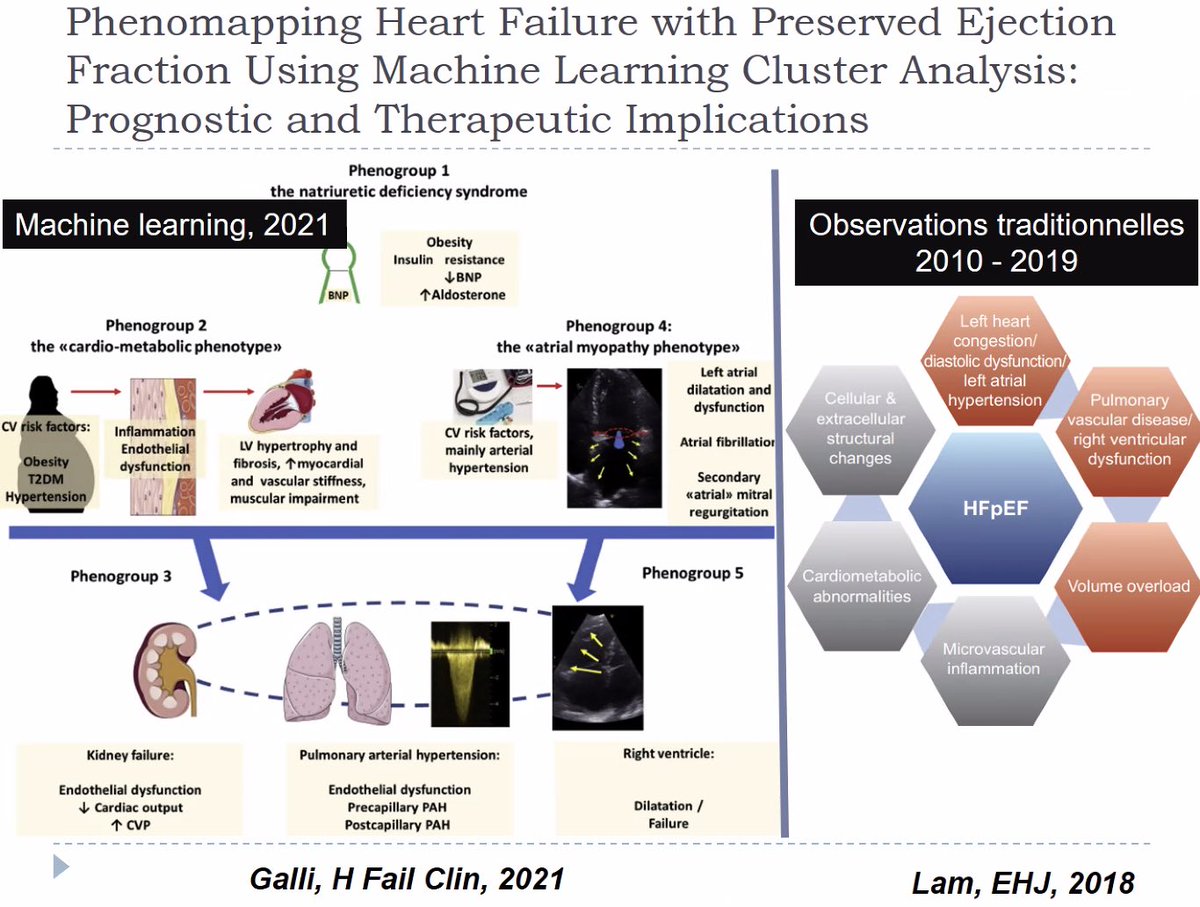 CCF_cardio's tweet photo. Dans l’insuffisance cardiaque à FE préservée #HFPEF le critère de jugement principal n’est pas la mortalité mais plutôt la qualité de vie et le niveau de dyspnée. #WECCFGRRC Nombreuses pistes de recherche pour le traitement de ces patients. Place du Phenomapping. https://t.co/DMYviee87G