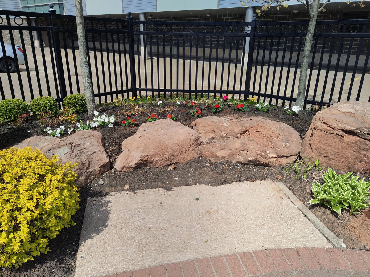 //As part of our Green team at work, we take care of the downtown Adopt A Corner. I took the lead this year, and spent the morning with one of my best work buds. Beautiful day today.