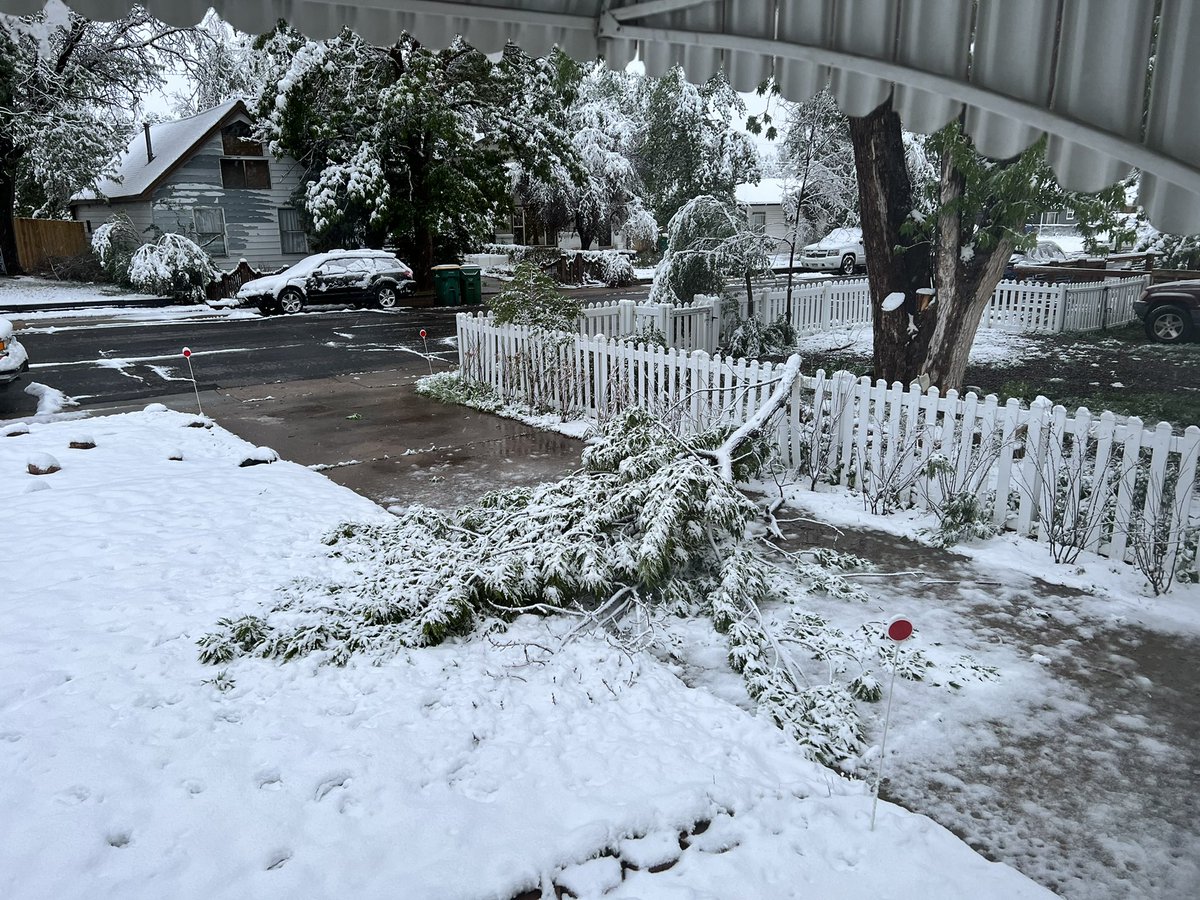 adsinger's tweet photo. Tree limbs down in Englewood! #cowx https://t.co/iheiDYm7Um
