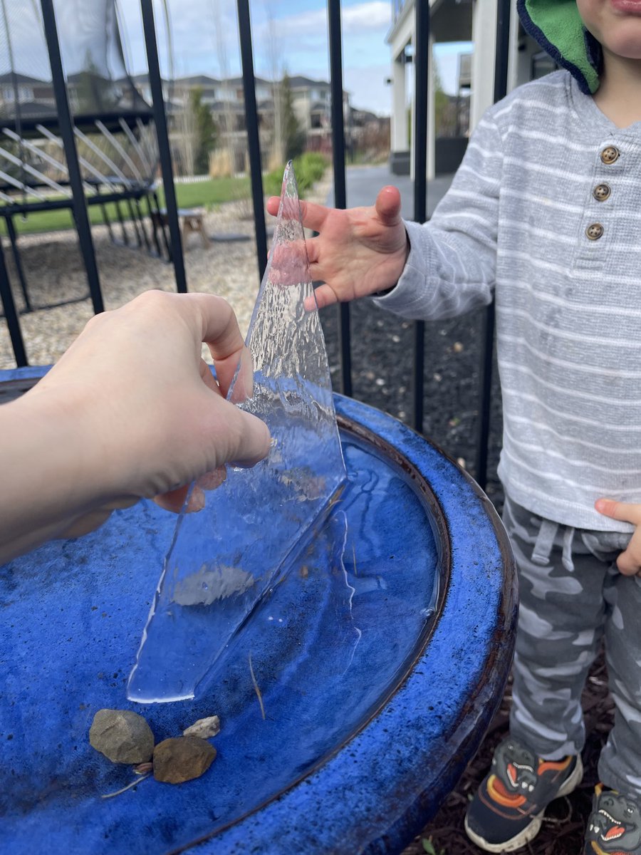 Heidi Dutton (@duttonheidi) on Twitter photo 