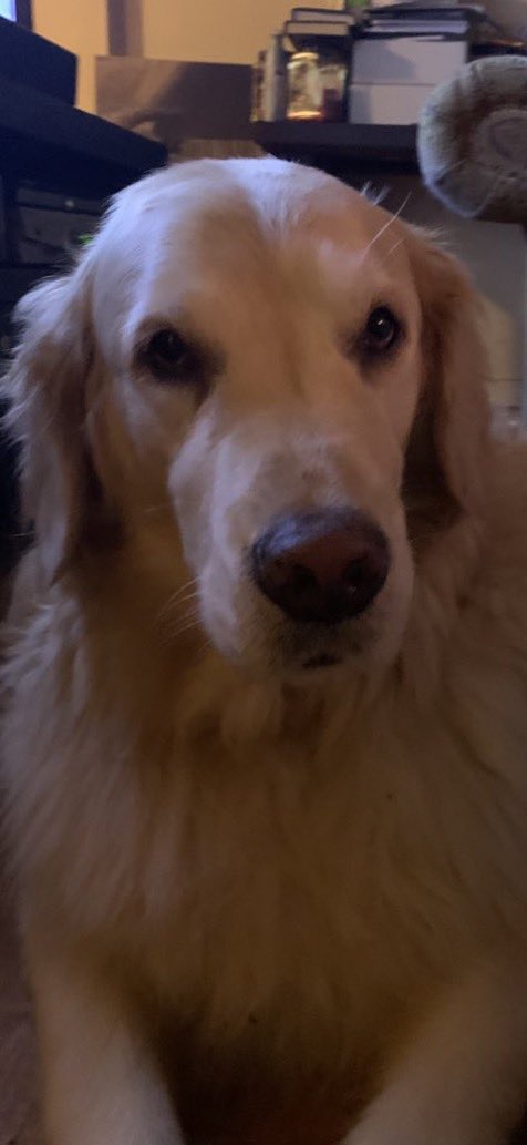 Brady birthday 🎂— Mr Sunshine turns #8 today