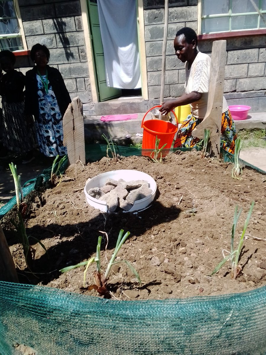 DeeChelule's tweet photo. Integrated Pest Management
#agriculture 
#agribusiness 
#farming https://t.co/rpteIwMBoZ
