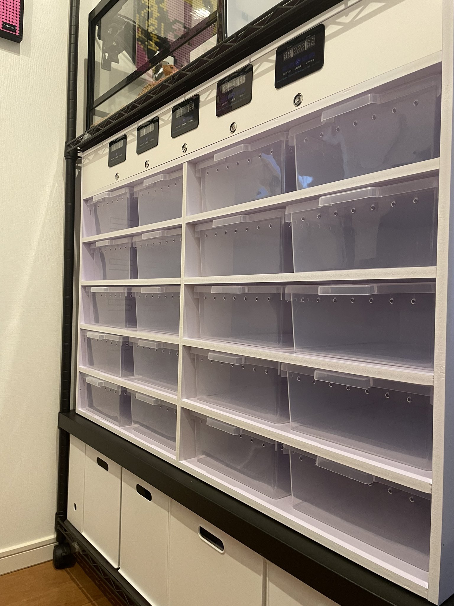 ブリーダーズラック - Search / X