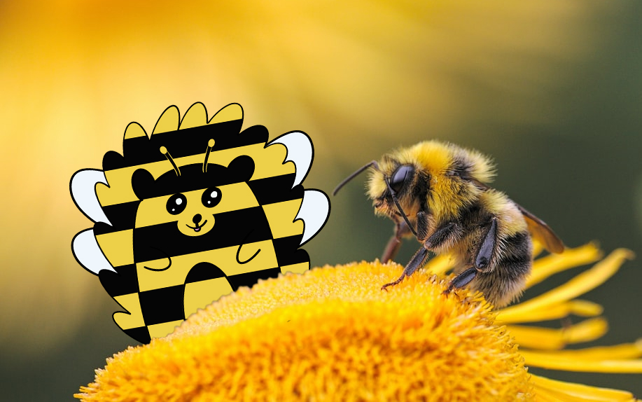HedgehogsNFT's tweet photo. 🐝fluffy https://t.co/eEkjowfWLH