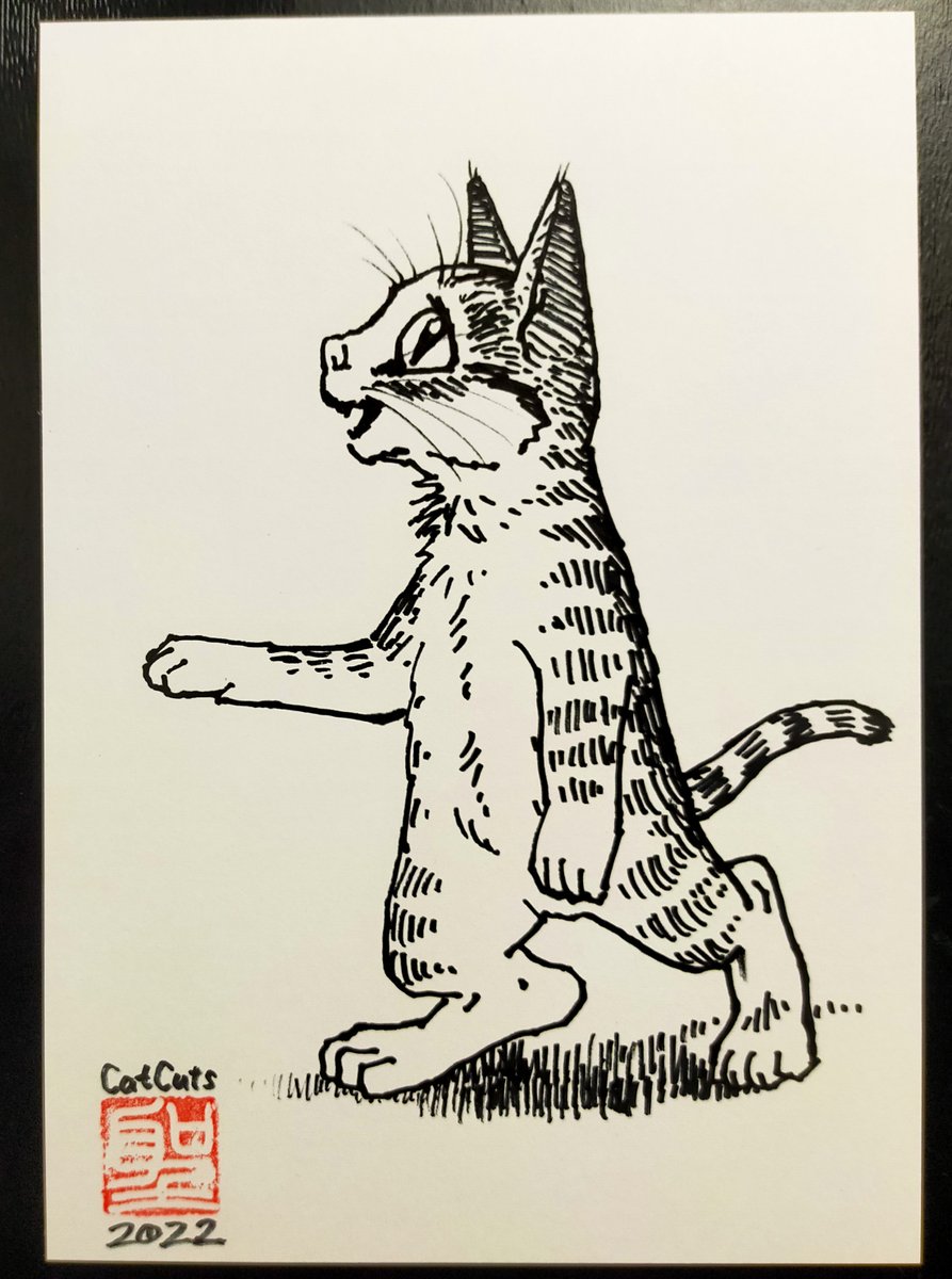 「モノクロ版権フリー猫画集」CatCuts https://t.co/Bg5eL8cvXX
漫画家と編集者 同時にやってみた!https://t.co/lmO2KLAJFh  
「面白いを解き明かす」カタルシスプランhttps://t.co/giepYBo02x

BOOST(投げ銭)して下さった方には本にサインイラスト入れてたんですが描きにくいので別紙にしてみました 