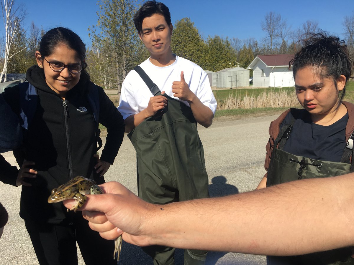 dawnbazely's tweet photo. HUGE thanks to former @LaurentianU Biology profs, @sudburyfrog &amp; @CharlesRamchar1, for introducing #FieldCourse students to frogs, turtles &amp; zooplankton!

Prof. John Gunn joined us on Manitoulin Island, for the Manitoulin Brewery Co. tour, @AlbrechtS_H 🍻
#OUPFB
#AquaticEcology https://t.co/Jqc2EPKqje