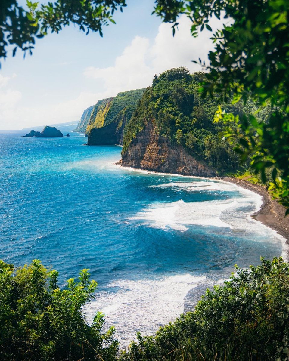 Que Bella Beauty Face Masks tweet media