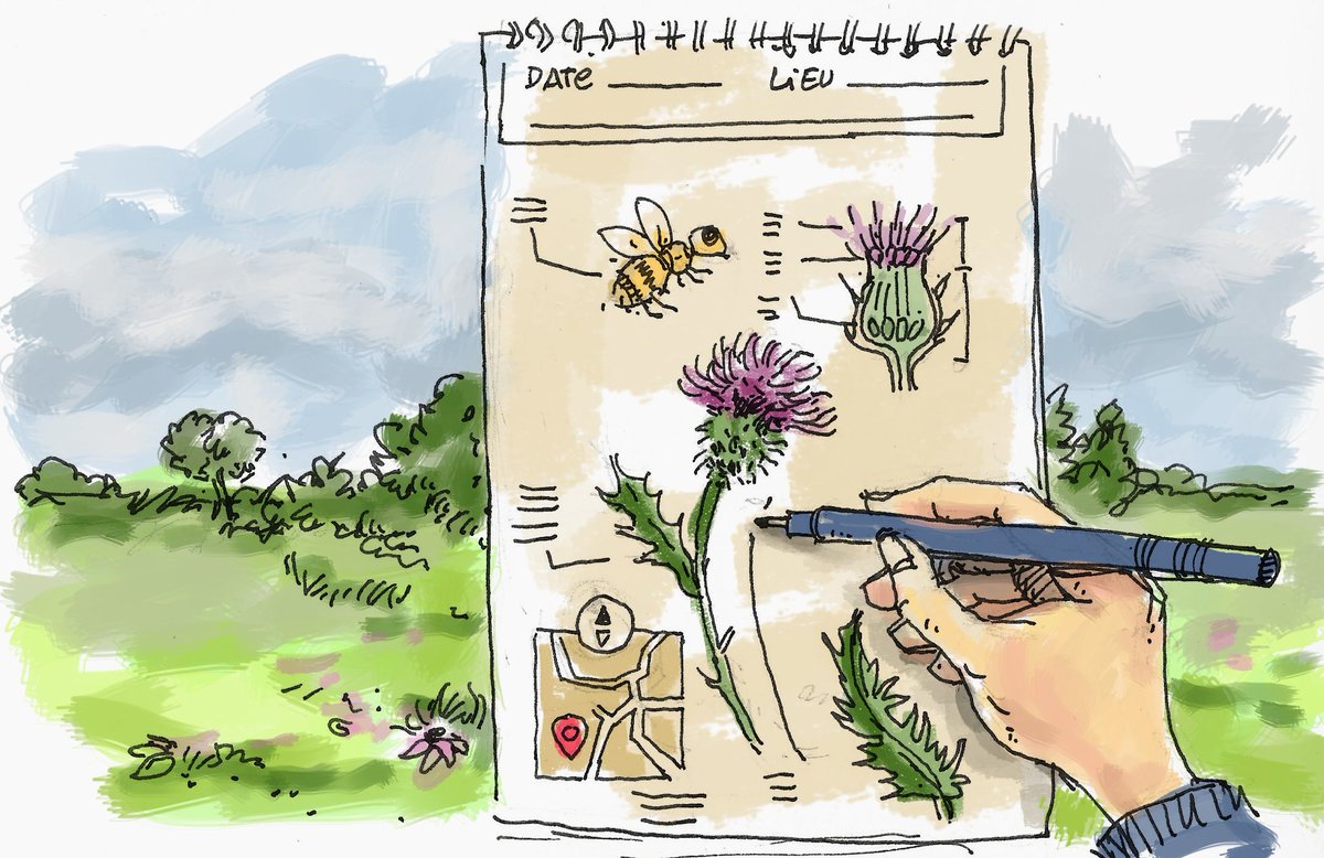 Fuzzyraptor's tweet photo. Carnets de terrain, journaux de terrain pour apprendre à observer - par @didac2b sur @thot : https://t.co/KUCC78Fp9P #fieldnotebook #fieldjournal #naturejournal https://t.co/VKyuOI0QSF