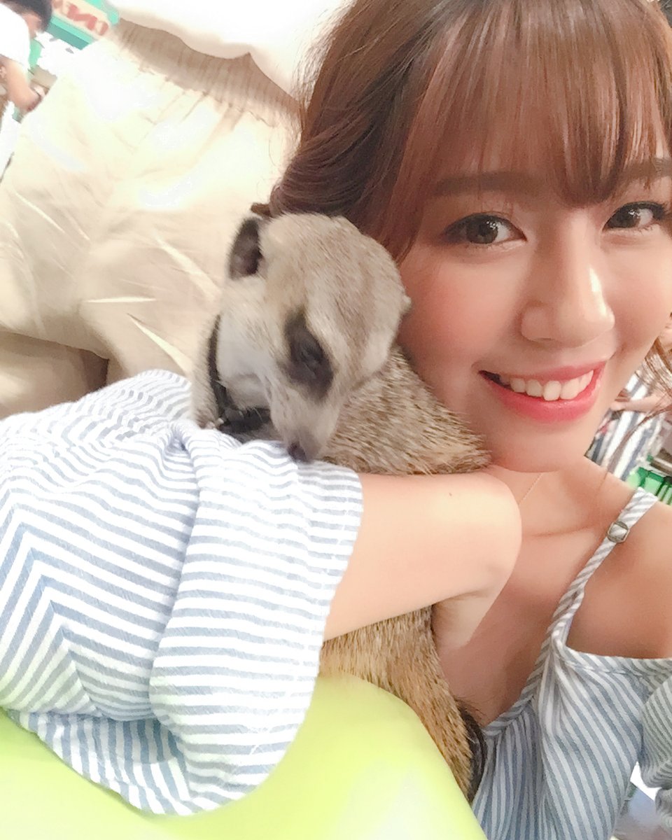 NertThara's tweet photo. 😍🦫 https://t.co/XxShu0HKUH