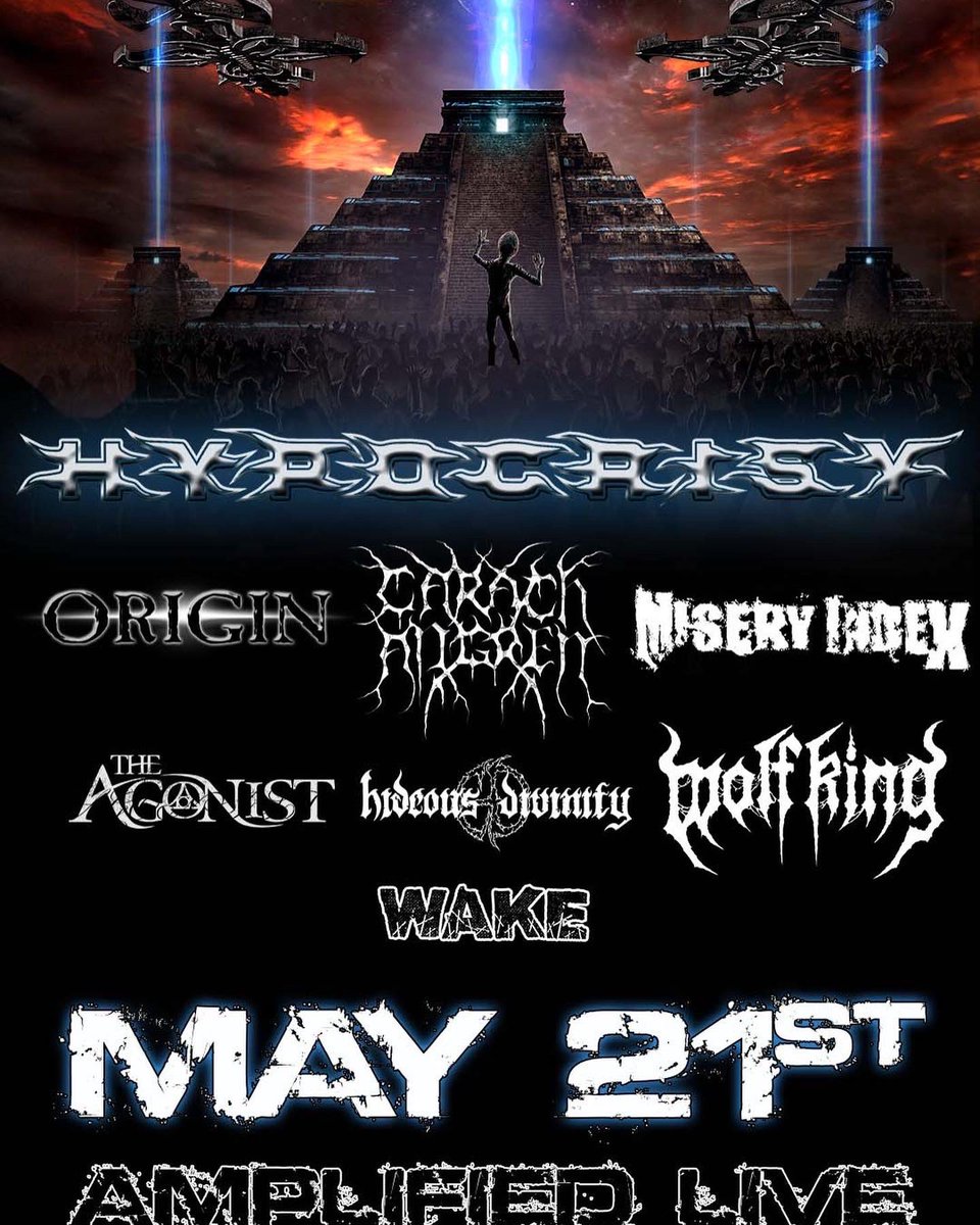 Wolf King tweet media