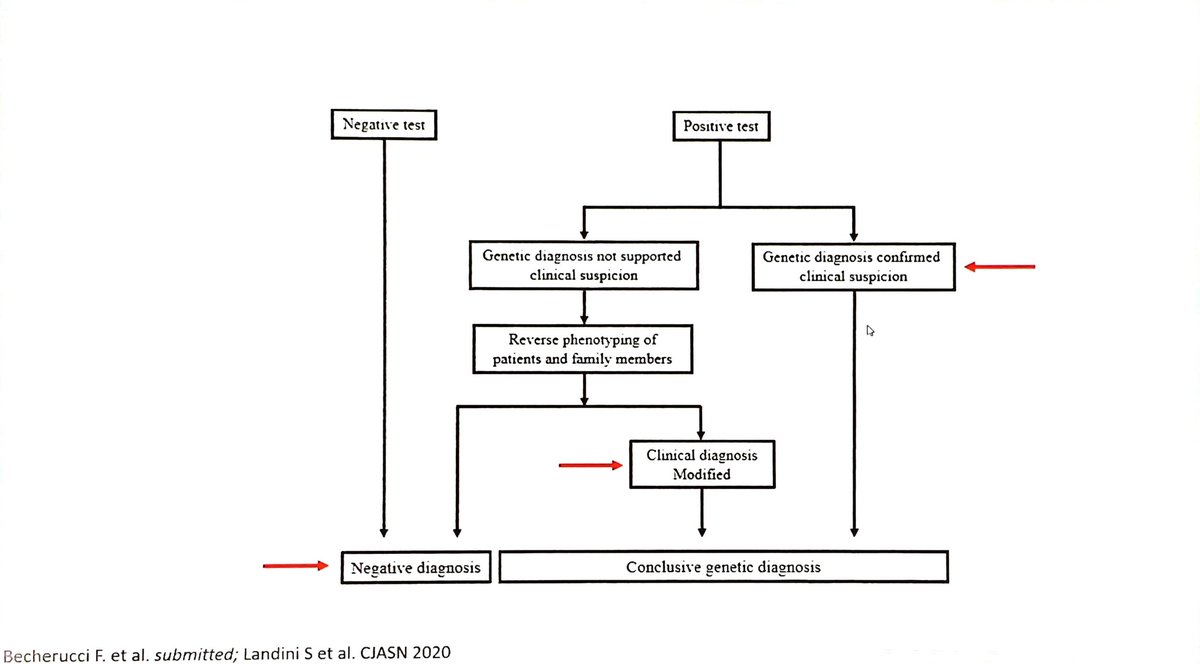ERAkidney's tweet image. Methods Algorithm
#GENera22 #FCera22 #ERA22