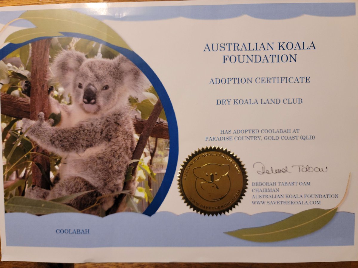 Our #Adoption certificate from <a href="/savethekoala/">Save the Koala (AKF)</a> has arrived from #Australia.  🇦🇺

#DKLC Its about community and making a real change in the world.🌏🌿
#Koala #NFTCommunity
