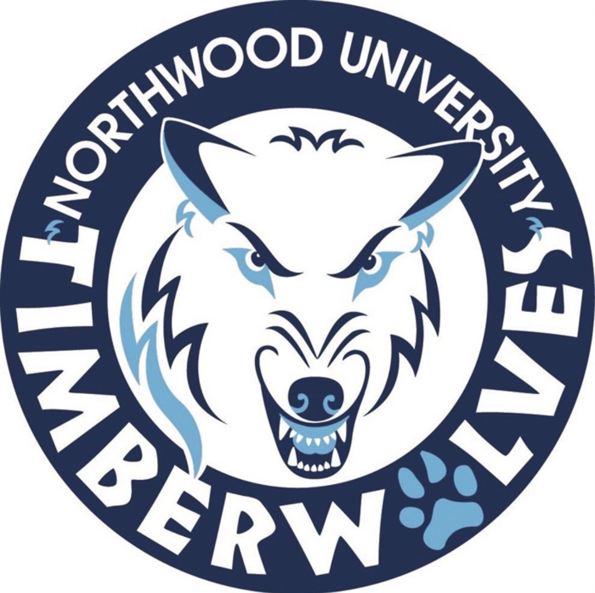 I am beyond excited to announce that I’ve received an offer to play at the next level from Northwood University! Thank you coaches for everything! @NUwomensoccer