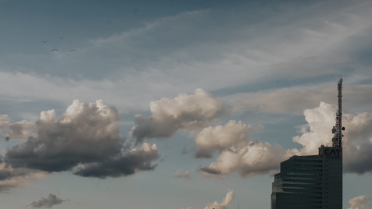 QQ (@linpoza) on Twitter photo 