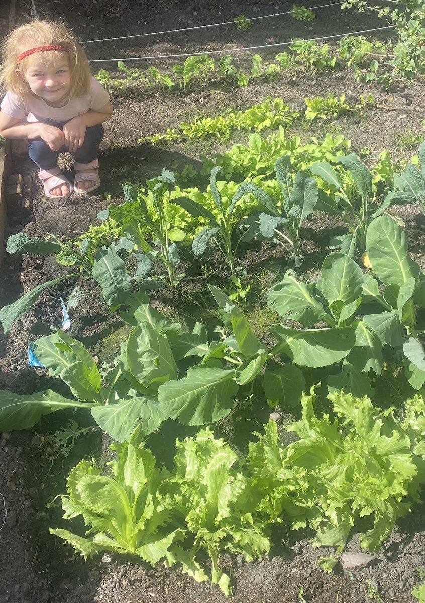 Peyton has been growing vegetables in her garden with her Daddy 🥕 🥔 🥬 

<a href="/CeInfant/">Whitchurch CE Infant and Nursery Academy</a> <a href="/ReceptionWia/">Reception_wia</a>