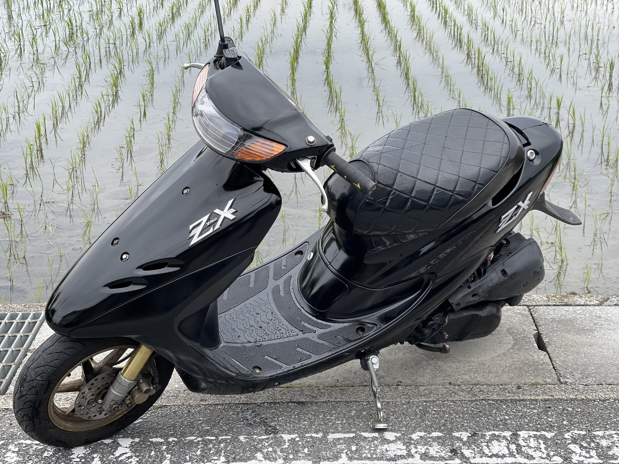 ZX売ります! equaljustice.wy.gov ZX売ります! equaljustice.wy.gov